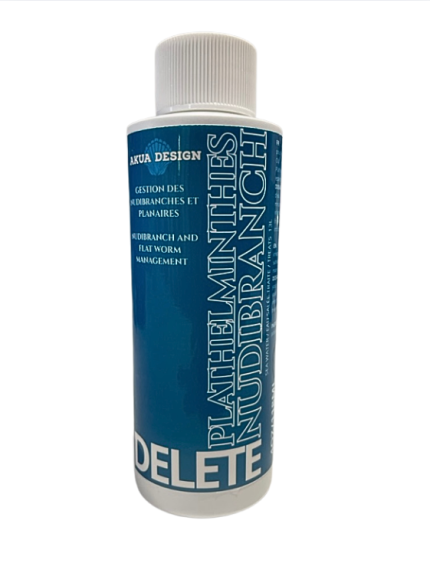 PLATHELMINTHES NUDIBRANCH - DELETE