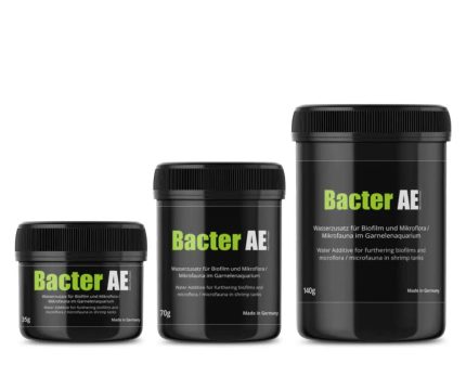 GlasGarten Bacter AE