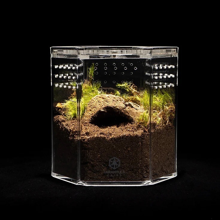 Tarantula Cribs - 5" Hex Crib 5"x 5"x 5"