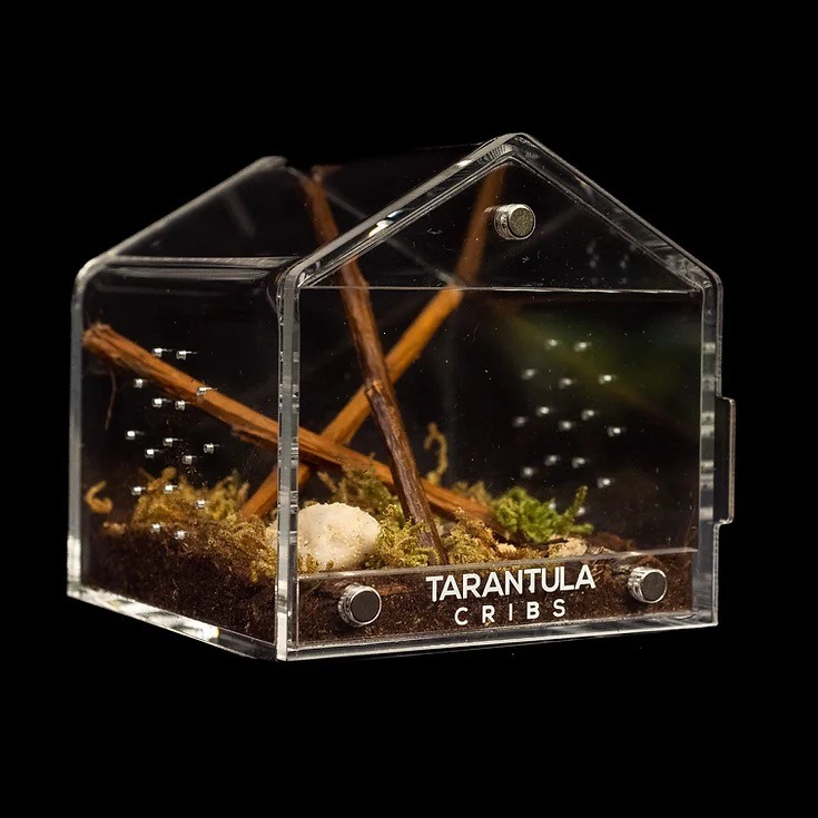 Tarantula Cribs - Canopy Mini 3"