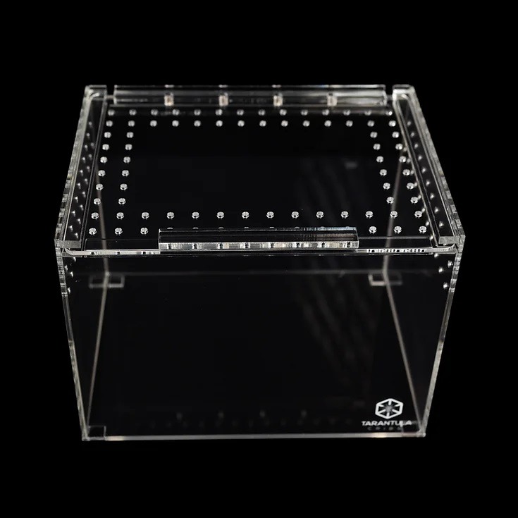 Tarantula Cribs - Medium Slider Crib- Clear Bottom 8''x6''x6''