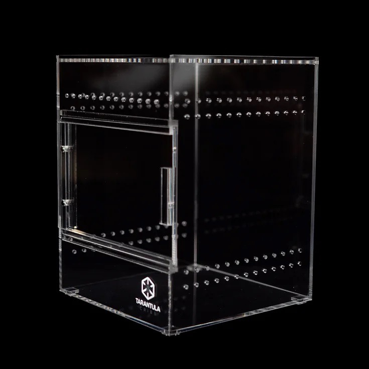 Tarantula Cribs - Medium Treehouse Switch- Clear Back - 6''x6''x8''