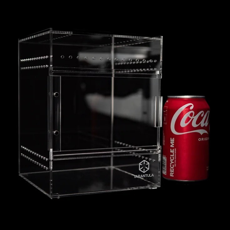 Tarantula Cribs - Medium Treehouse Switch- Clear Back - 6''x6''x8''