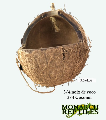 Monarch Reptiles - 3/4 coconut