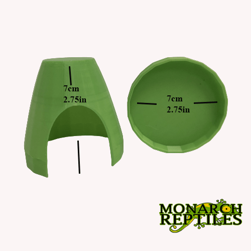 3D- Dart Frog Hides  - Bright Green