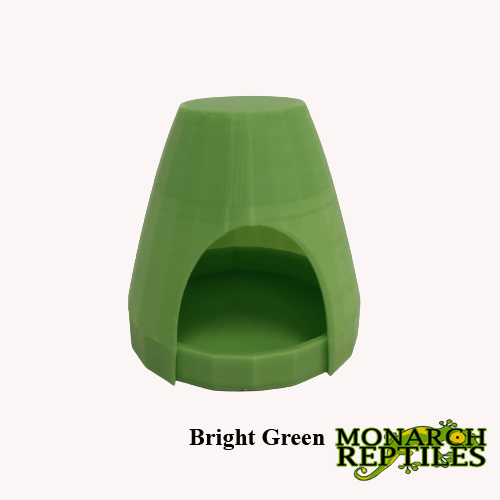 3D- Dart Frog Hides  - Bright Green
