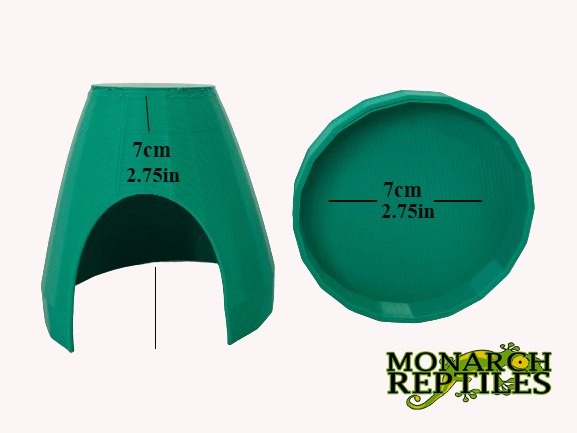 3D- Dart Frog Hides    -Green