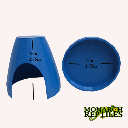 3D- Dart Frog Hides  - Blue