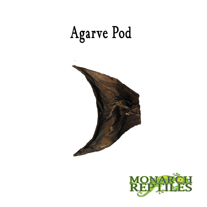 Agarve Pods