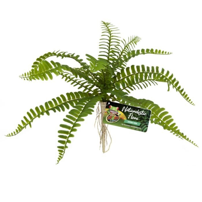 Zoomed Naturalistic Flora  - Sword Fern