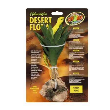 Zoomed Desert Flora – Green Aloe
