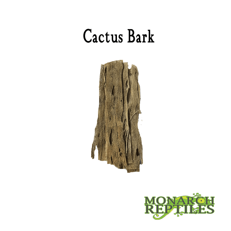 Cactus Bark