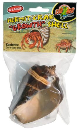 Zoomed - Hermit Crab "Growth" Shell - x-large 1 per pack