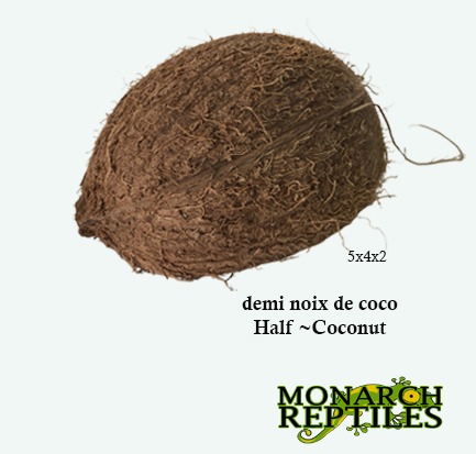 Monarch Reptiles - Half Coconut