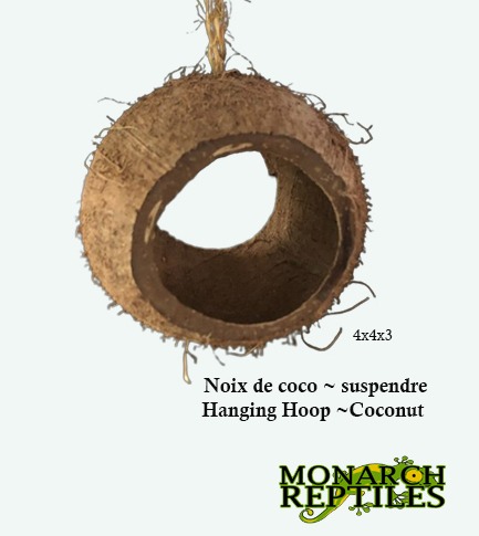 Monarch Reptiles - Hanging Hoop ~ Coconut