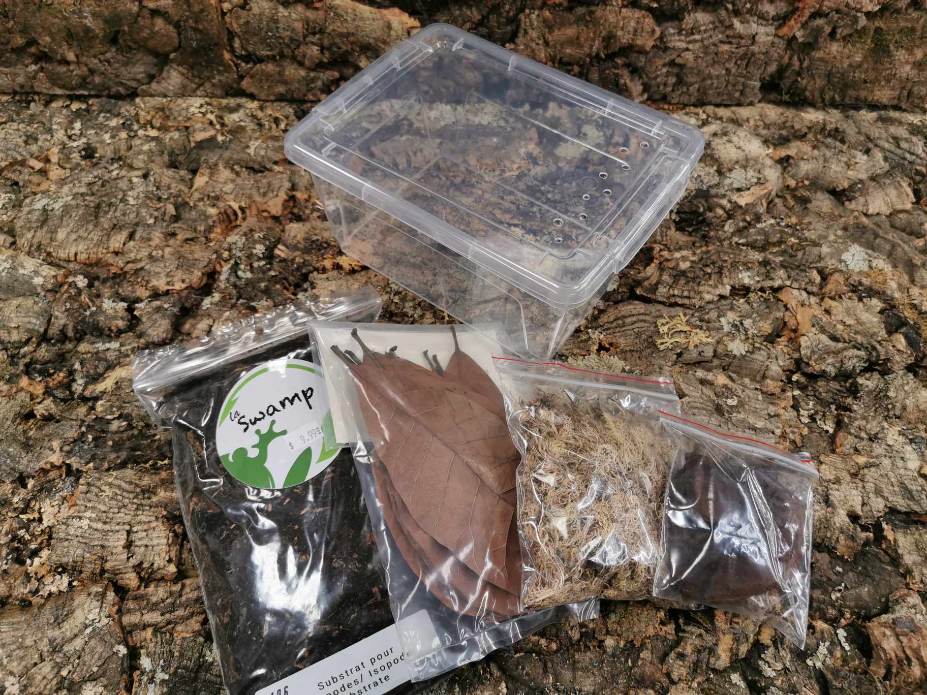 Isopod Starter Kit  - Small  (21 x 15 x 11cm)  Deluxe