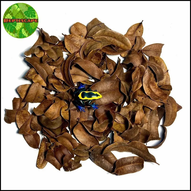 Reptiscape - Marupa Leaves - 30gm