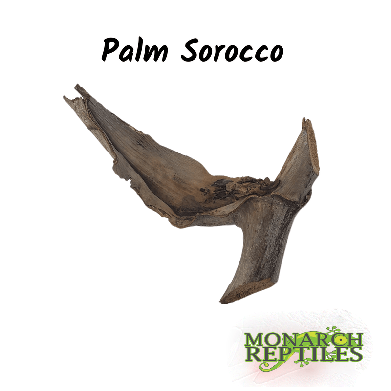 Palm Sorocco Pod