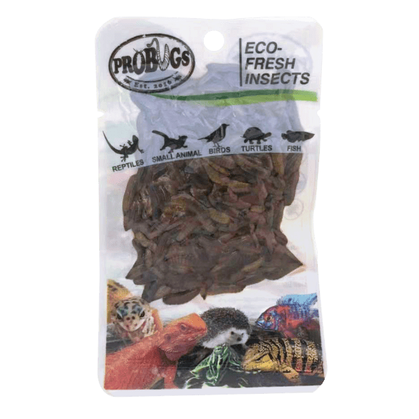Pro-Bugs Black Soldier Fly Larvae