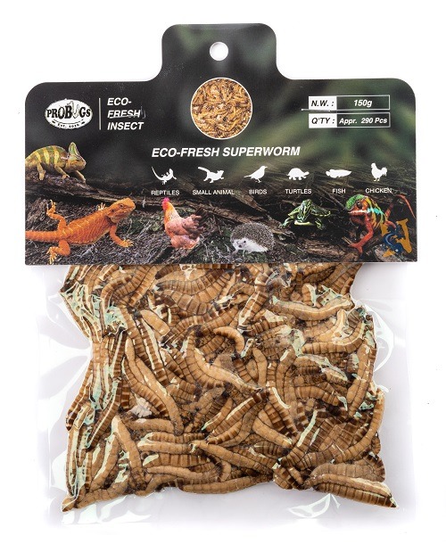 Pro-Bugs Eco-Fresh Bulk Superworms- 150g