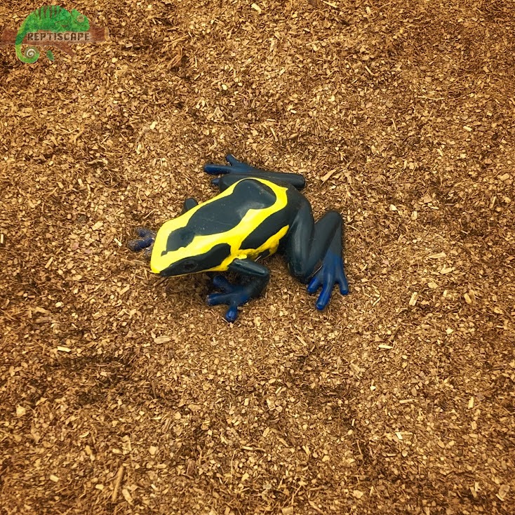 Reptiscape - Dried Catappa Leaf Powder - 50g