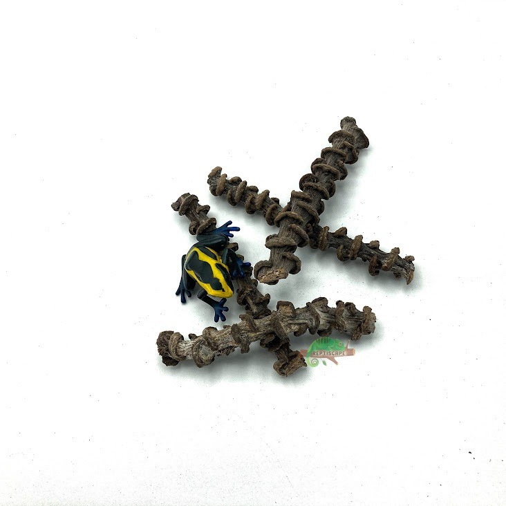 Reptiscape - Dried Banana Stems - 4 Pack