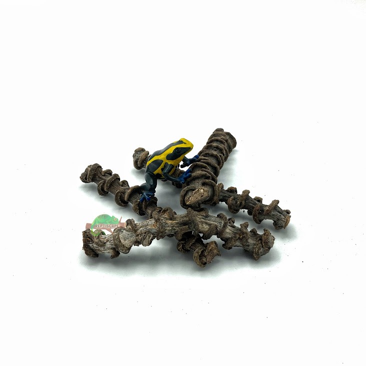 Reptiscape - Dried Banana Stems - 4 Pack