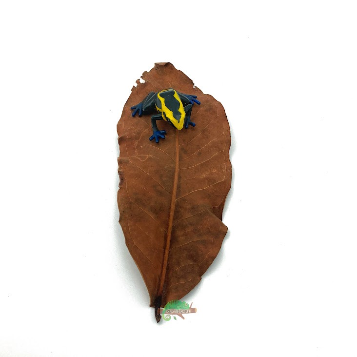 Reptiscape - Jackfruit Leaves