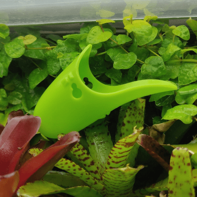 Tad Pool –Bright Green Cup Set  Suction