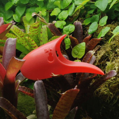 Tad Pool –Coral Cup Set  Suction