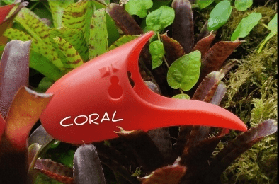 Tad Pool –Coral Cup Set  Suction