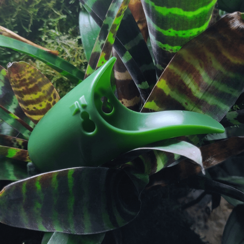 Tad Pool –Dark Green Cup Set  Suction