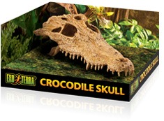 Exo Terra - Crocodile Skull- Large
