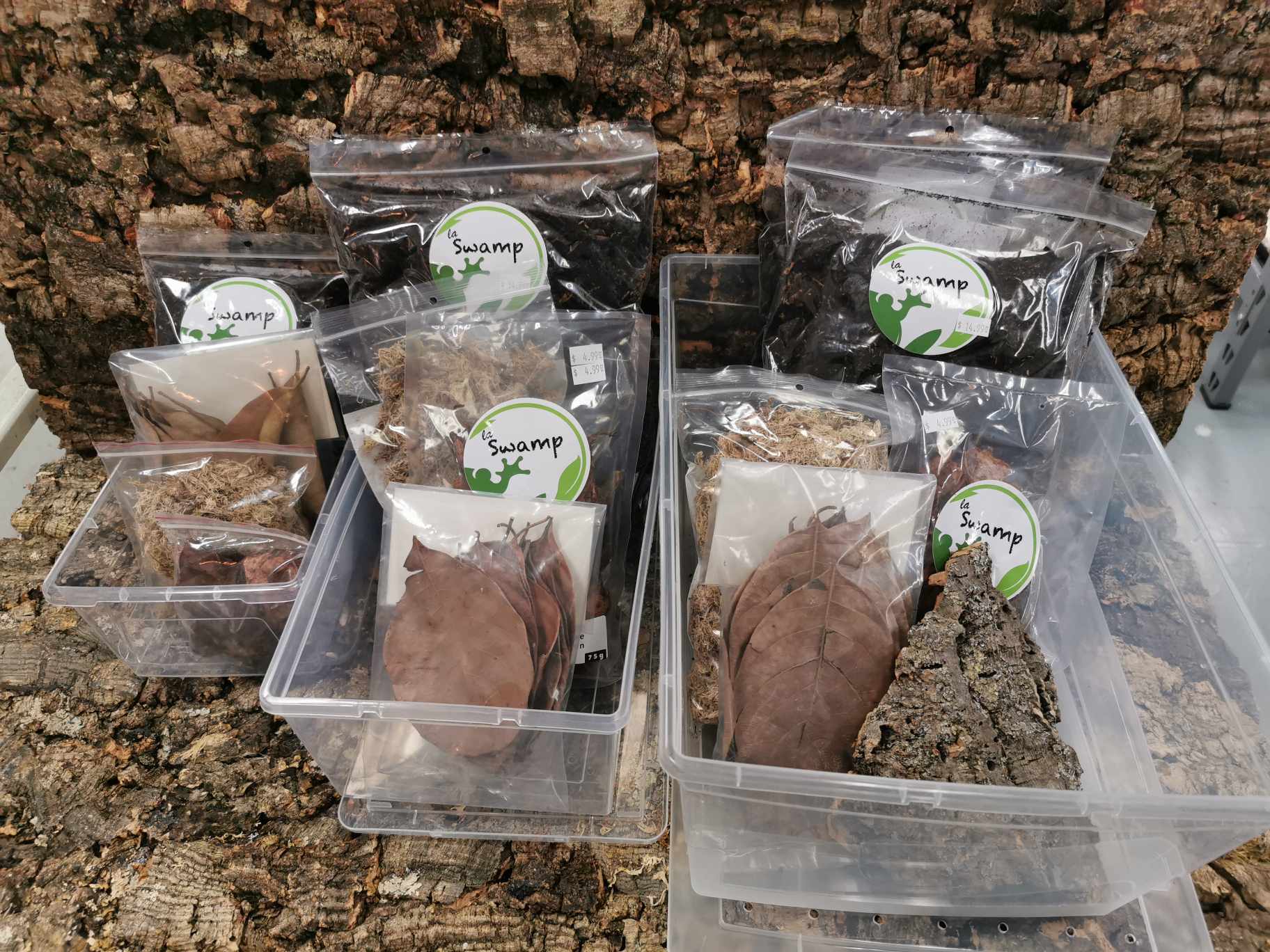 Isopod Starter Kit  - Small  (21 x 15 x 11cm)  Deluxe