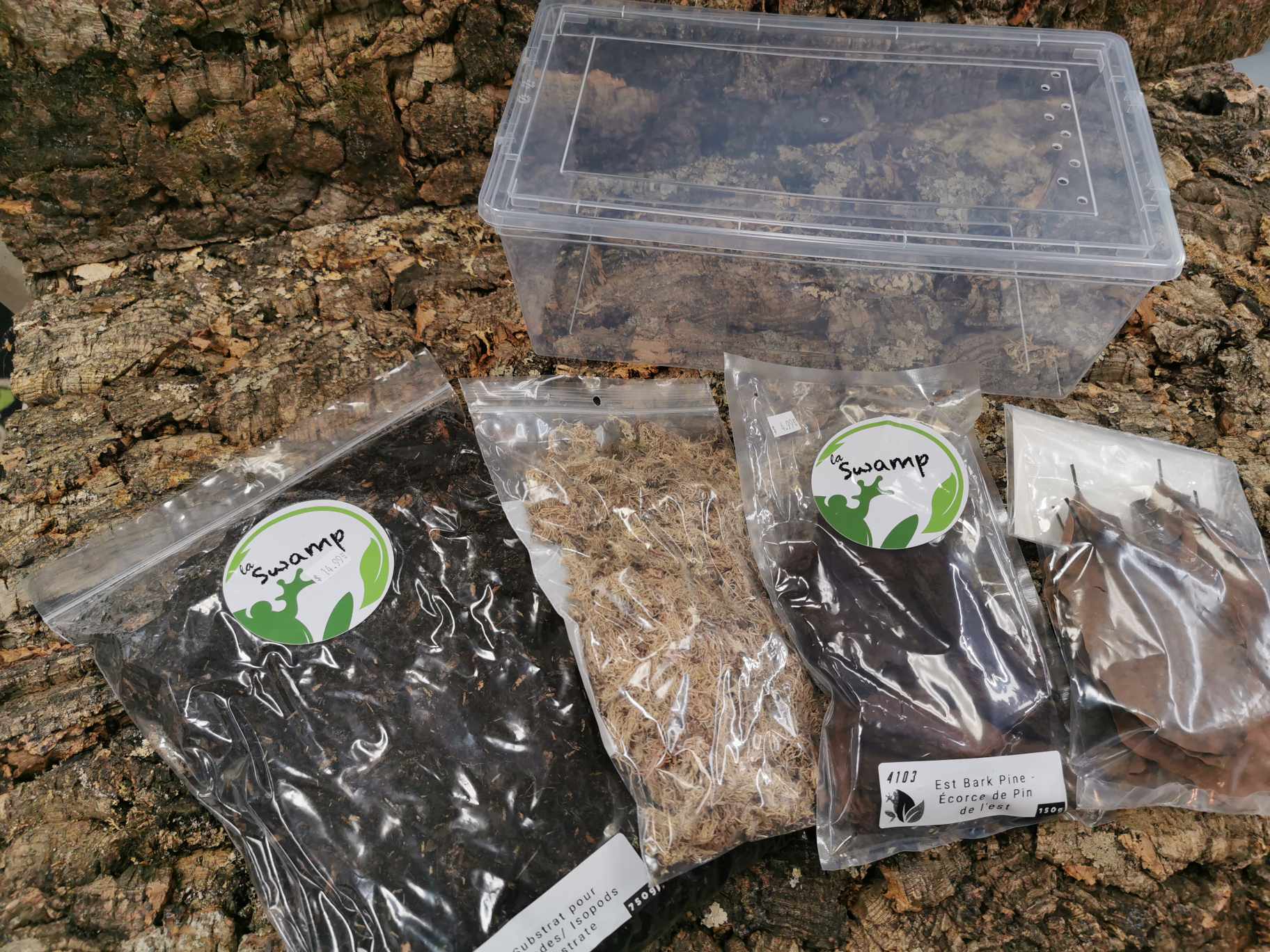 Isopod Starter Kit  - Medium  (33 x 19x 12cm) Deluxe