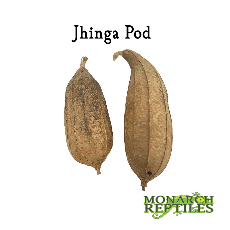 jhinga Pods jhinga Pods