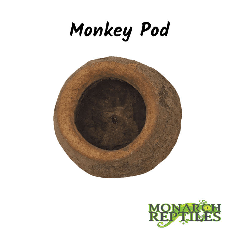 Monkey Pods