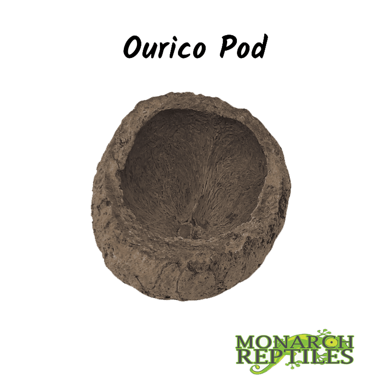 Ourico Pod