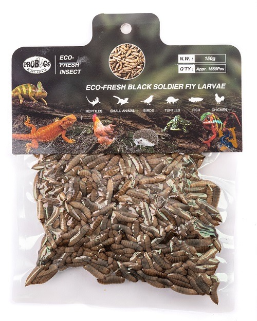 Pro-Bugs Eco-Fresh Bulk Black Soldier Fly Larvae - 150g