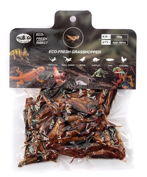Pro-Bugs Eco-Fresh Bulk Grasshoppers- 150g