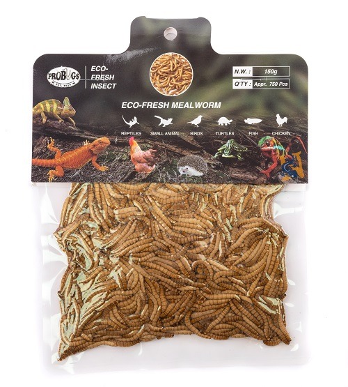 Pro-Bugs Eco-Fresh Bulk Mealworms- 150g