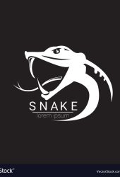 1d7b60b94fd48e159c4e1d80a050c6d9